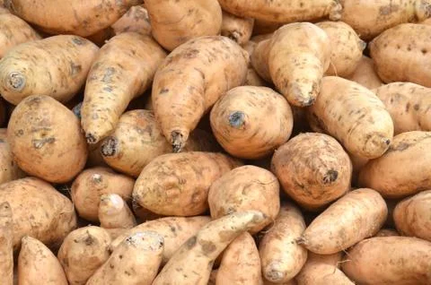 Yam Stock Photos