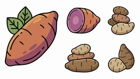 Yam Root and Sliced Tuber Icon Set Stock Illustration