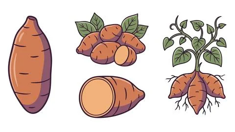 Yam Root Vegetable Flat Icon Set Stock Illustration