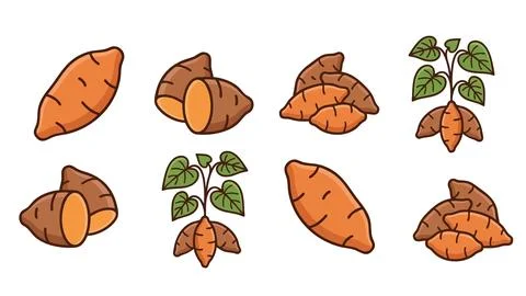 Yam Root Vegetable Icon Set Stock Illustration