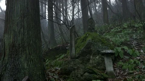 Yamadera temple forest Video stock 150359369