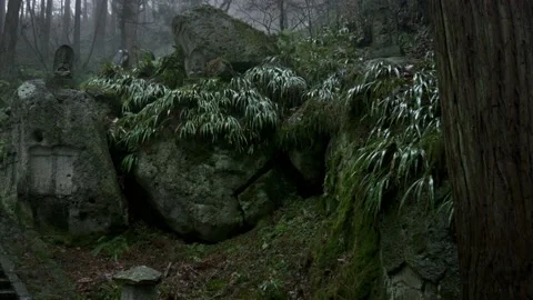 Yamadera temple forest Stock Footage 150359386