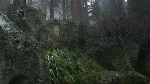 Yamadera temple forest Stock Footage 150359448
