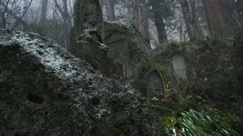 Yamadera temple forest Stock Footage 150359582