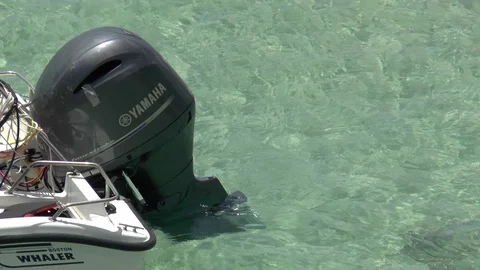 Yamaha Outboard Motor Stock Footage 108382084