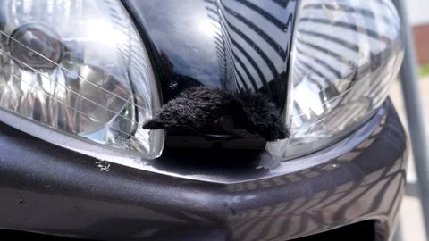 Yamaha XMAX Scooter Stock Footage 231334962