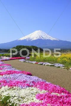 Yamanashi Prefecture, Japan Stock Photos