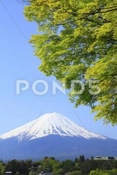 Yamanashi Prefecture, Japan Stock Photos