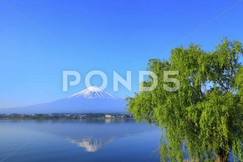Yamanashi Prefecture, Japan Stock Photos