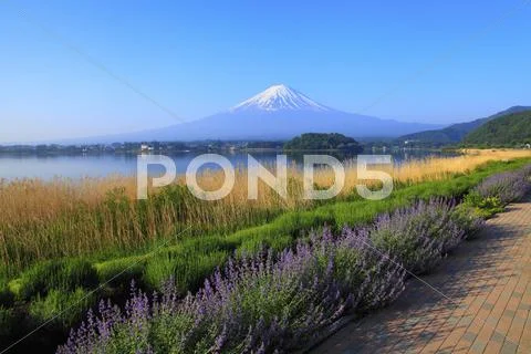 Yamanashi Prefecture, Japan Stock Photos