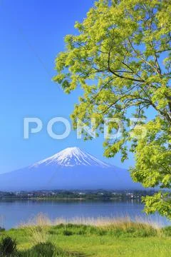 Yamanashi Prefecture, Japan Stock Photos