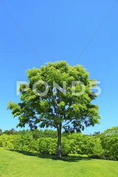 Yamanashi Prefecture, Japan Stock Photos