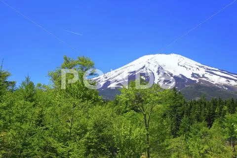 Yamanashi Prefecture, Japan Stock Photos