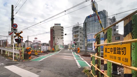 Yamanote line train passing over the Nakazato railroad crossing II Stock Footage 165823722