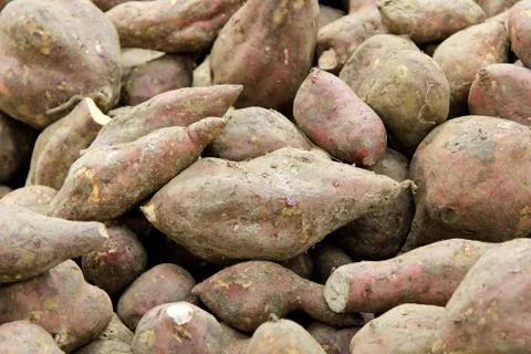 Yams Stock Photos