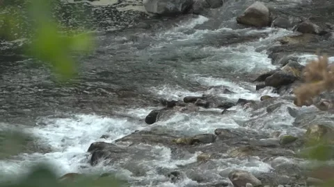 Yamuna river flowing through the valley of Yamunotri &amp; Uttarkashi. Video stock 278544849