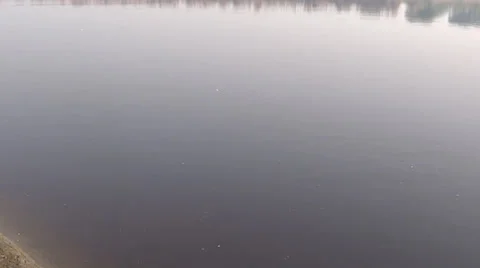 Yamuna river3 Stock Footage 33473102