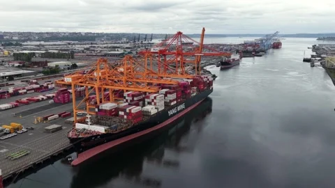 Yang Ming container ship loads beneath massive orange gantry cranes stacked Stock Footage 338324731