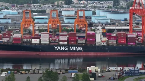 YANG MING container ship sits loaded with cargo at Port of Tacoma, Washington Stock Footage 338419468