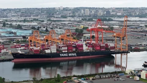 YANG MING container ship sits loaded with colorful cargo at Port of Tacoma Stock Footage 338934461