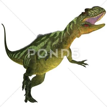 Yangchuanosaurus on white Stock Illustration