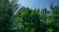 Yangshuo, China - bamboo rafting XII HD Footage