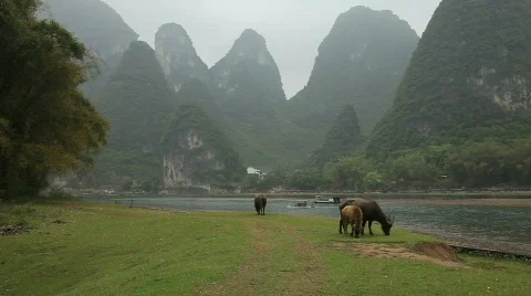 Yangshuo scenery Stock Footage 693905