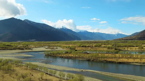 Yani Vídeos de archivo 167992904