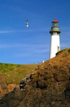 Yaquina Head Lighthouse Stock Photos