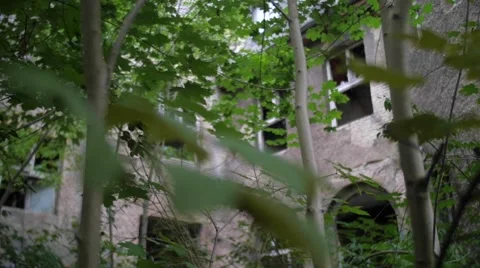 Yard of an abandoned building with broken windows 스톡 동영상 58298476