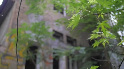 Yard of an abandoned building with broken windows 스톡 동영상 58592579
