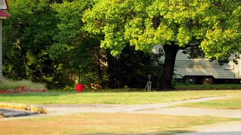 Yard and trees outside a house in Lebanon Stock-Footage 345530697