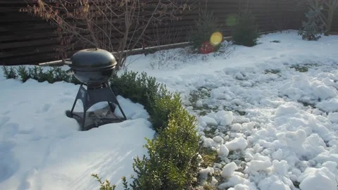 Yard With Barbecue Stock Footage 149808093