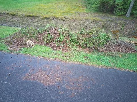 Yard Debris Piled Next to Road Foto stock
