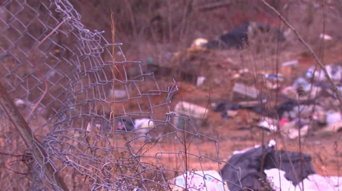 Yard Full of Garbage and Junk HD Video Stock Footage 30760433