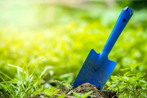 Yard garden tools and vegetable garden. Stock Photos