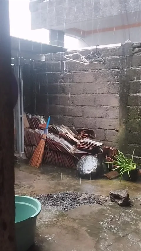 In the yard it looks like it is raining very heavily Stock Footage 294733121