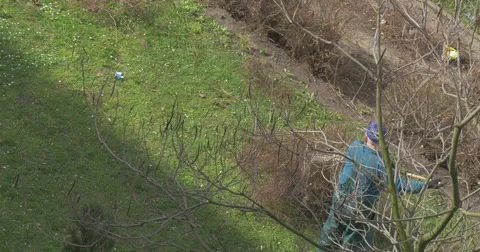 Yard Keeper Clears Away a Green Lawn Near to Park Stock Footage 61898723