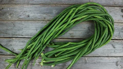 Yard long bean isolated on the grey background. Stock Photos