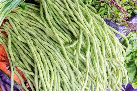 Yard long bean Stock Photos