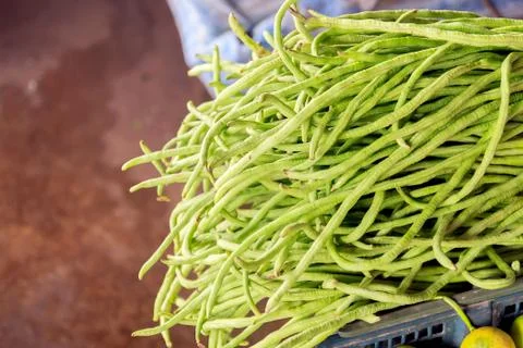 Yard long bean Stock Photos