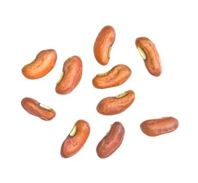 Yard long bean seeds for a seed. Foto stock