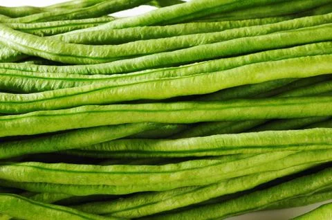 Yard long bean on white Stock Photos