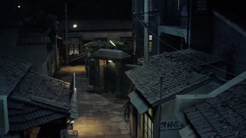 The yard of the night Stock Footage 235264819