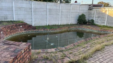 A yard or back garden which has a dirty, very green unkept Pool. The Yard is in Stock Footage 306672283