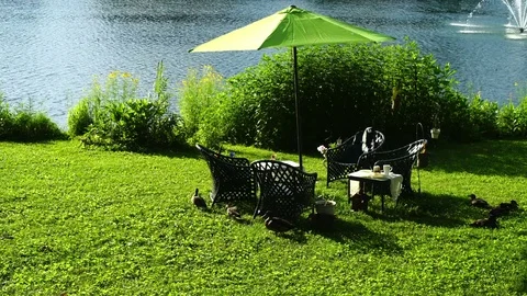 Yard patio 2 umbrella ducks garden Vidéo 77377545