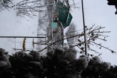  In the yard. Stock-Fotos