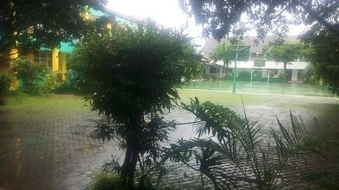 Yard Foto stock
