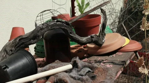 Yard Pottery Video stock 738193