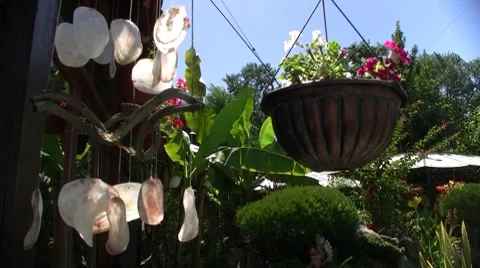 Yard rattles Stock Footage 8601429